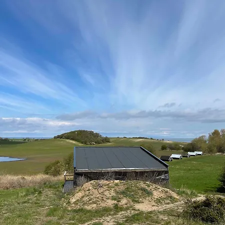 Cozy Tiny House In Nature - C