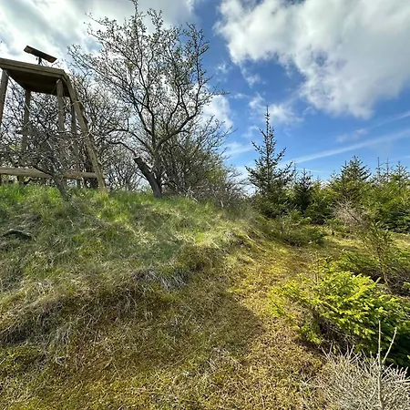 Cozy Tiny House In Nature - C