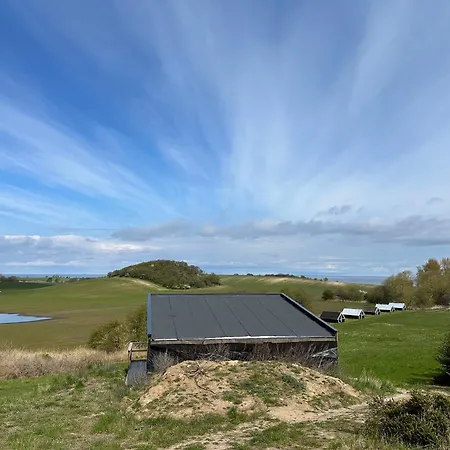 Feriehus Cozy Tiny House In Nature - C