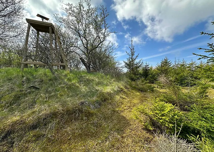 Cozy Tiny House In Nature - C